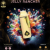 Ace Ultra Jelly Rancher